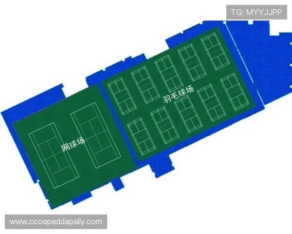 开云综合体育网站如何利用平台资源提升体育知识和比赛技巧 开云综合体育网站如何利用平台资源提升体育知识和比赛技巧
